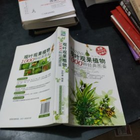 观叶观果植物1000种经典图鉴