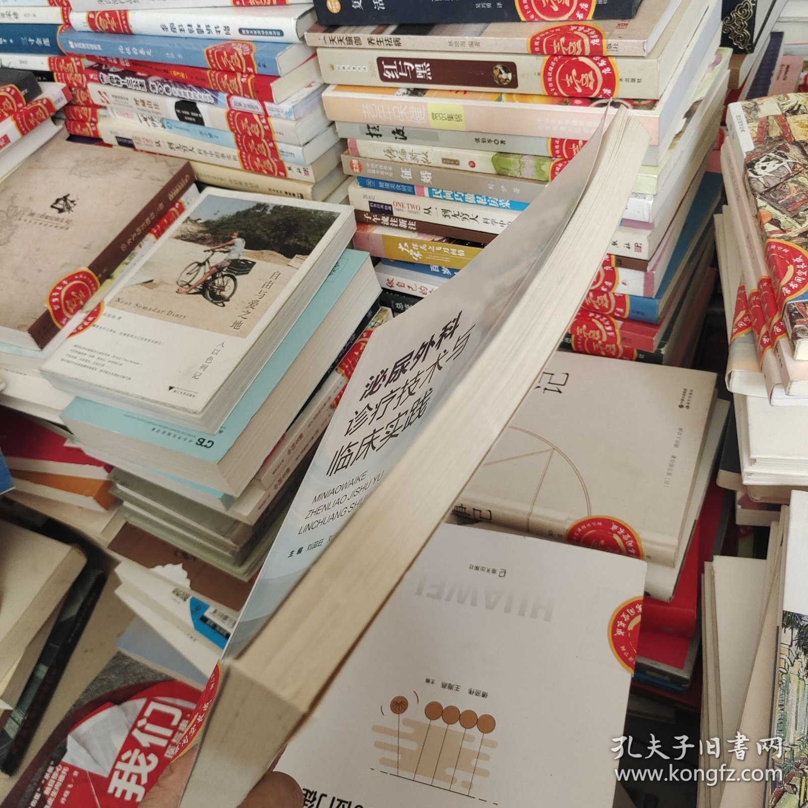 泌尿外科诊疗技术与临床实践