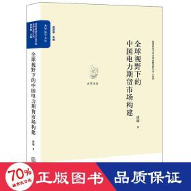 全球视野下的中国电力期货市场构建 法学理论 唐敏 新华正版