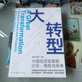 大转型：中国经济改革的过去、现在与未来