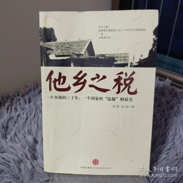 他乡之税：一个乡镇的三十年，一个国家的“隐秘”财政史