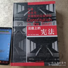 法庭上的宪法：平等、自由与反歧视的公益诉讼