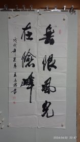 陜西名家王長根書法（無限風光在險峰）2024
