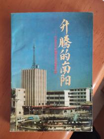 升腾的南阳——社会主义时期党史专题资料集