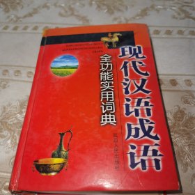 现代汉语成语全功能实用词典（精装）