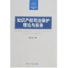 知识产权司法保护理论与实务