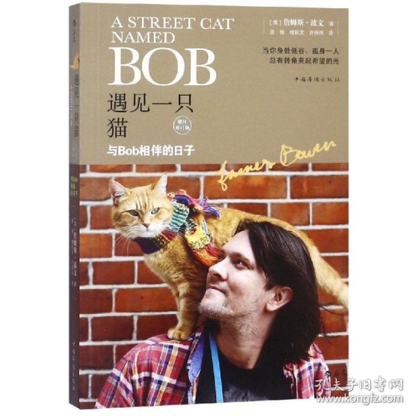 遇见一只猫:与Bob相伴的日子