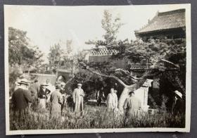 民国时期 曲阜孔林孔庙里游玩的官宦人家 原版老照片一枚