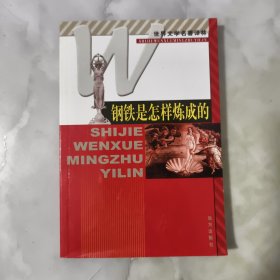 钢铁是怎样炼成的