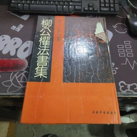 唐宋十二名家法书精选：柳公权法书集（8开精装本）一版一印 有受潮痕迹 封面有破损