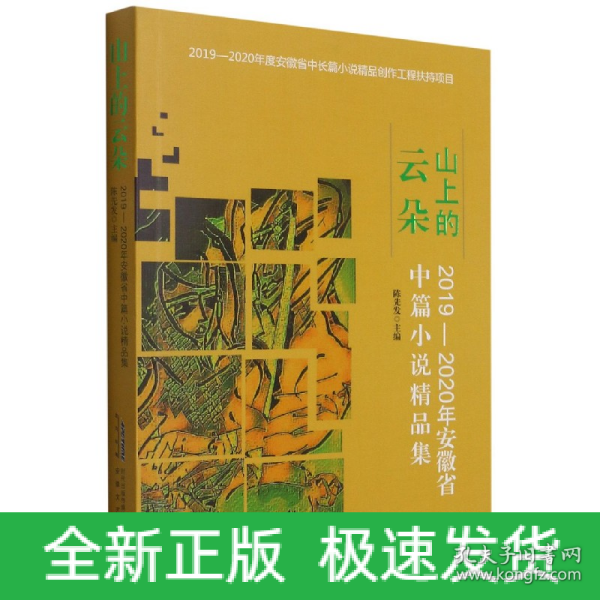 山上的云朵：2019—2020年安徽省中篇小说精品集