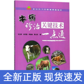 牛病诊治关键技术一点通