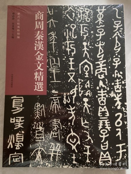 历代法帖风格类编 商周秦汉金文精选