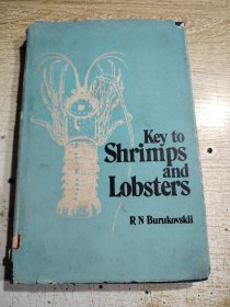 KeytoShrimps and Lobsters