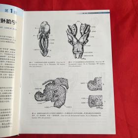 宫腔镜诊断及手术：解剖、生理、病理学图解