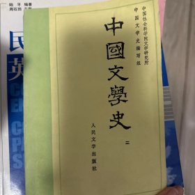 中国文学史 二