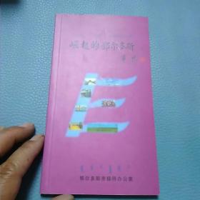 崛起的鄂尔多斯