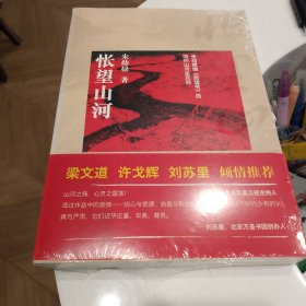 怅望山河
