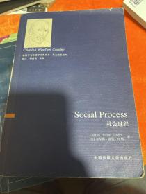 新闻学与传播学经典丛书·英文原版系列：社会过程（英文版）