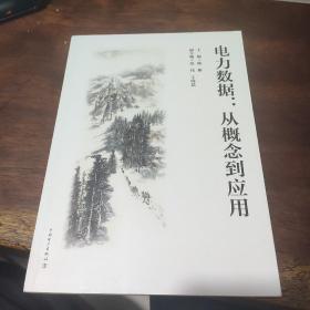 电力数据：从概念到应用