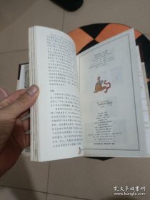 圣经新约的故事之启示录羊皮书(单独一本)（旧书，品相如图，介意的不要拍）