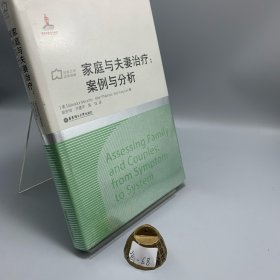 社會工作流派譯庫·家庭與夫妻治療：案例與分析