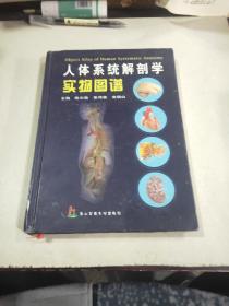 人体系统解剖学实物图谱