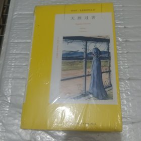 天涯过客：阿加莎·克里斯蒂侦探作品集13