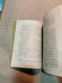 南京大学法学文库:经济刑法原理与适用