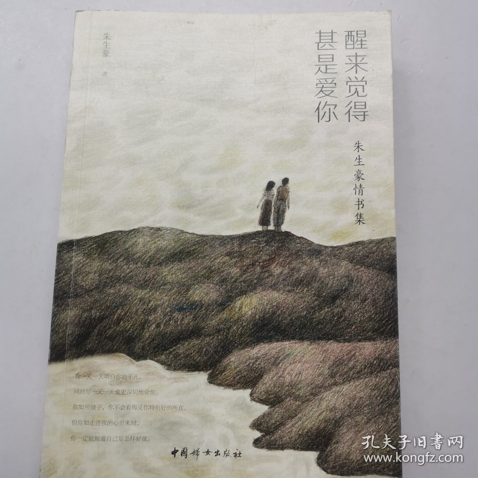 醒来觉得甚是爱你（朱生豪情书集）