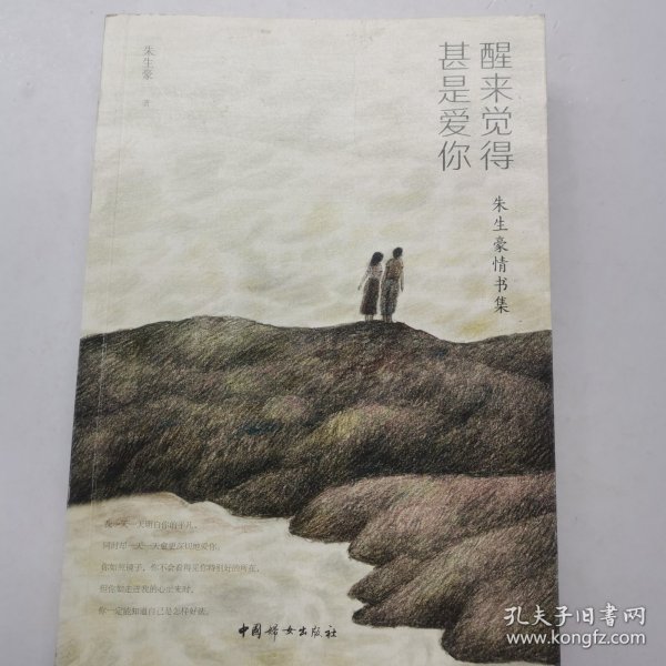 醒来觉得甚是爱你（朱生豪情书集）