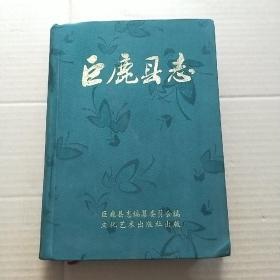 巨鹿县志（精装绸缎面 16开）