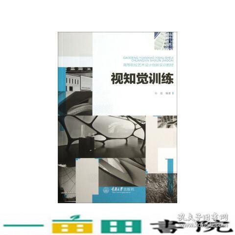 视知觉训练/高等院校艺术设计创新实训教材