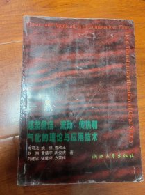 煤浆燃烧，流动，传热和气化的理论与应用技术