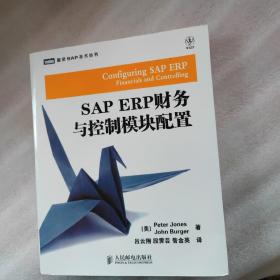 SAP ERP财务与控制模块配置