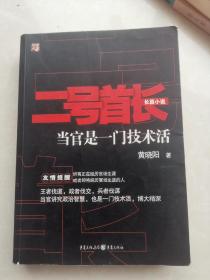 二号首长～当官是一门技术活 1 2两册