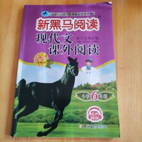 新黑马阅读丛书：现代文课外阅读．小学六年级