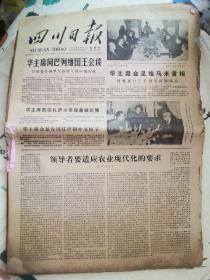 四川日报1978年8月1日-31日全