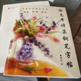 徐志摩诗集钢笔字帖(b32开)