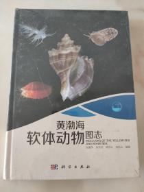 现代海洋科学 从近海到深海：黄渤海软体动物图志