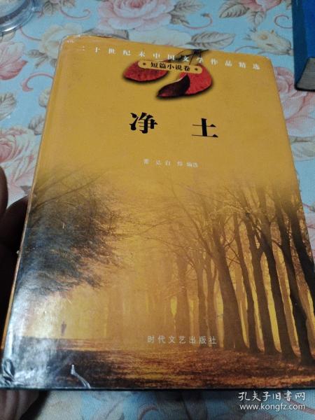 20世纪末中国文学作品精选：短篇小说卷 净土。