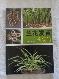 兰花发苗有窍门