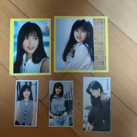 周慧敏不干胶