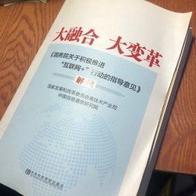 大融合 大变革：《国务院关于积极推进“互联网+”行动的指导意见》解读