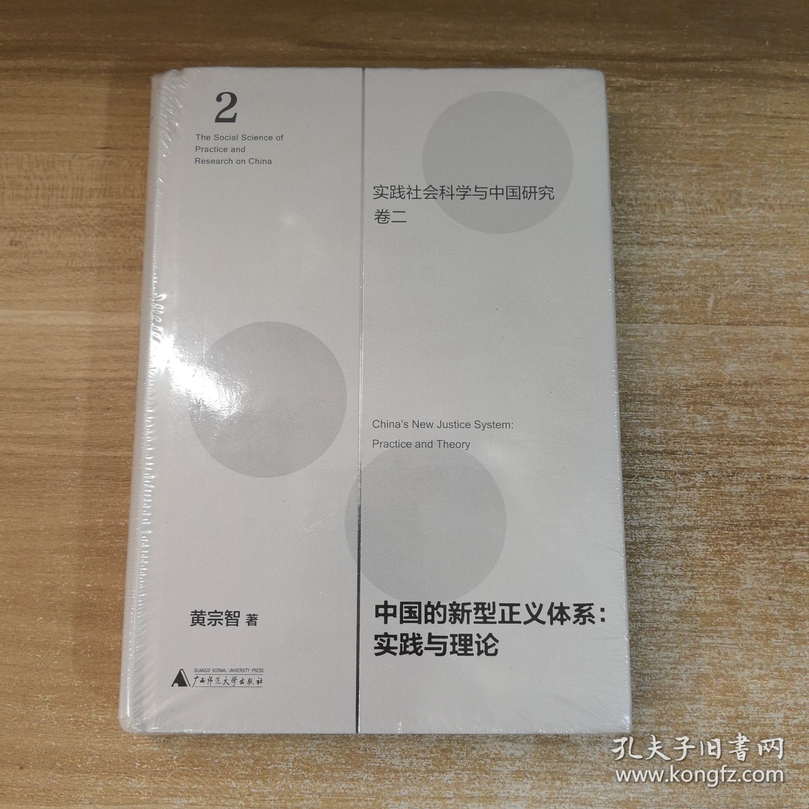 中国的新型正义体系：实践与理论（实践社会科学与中国研究·卷二）