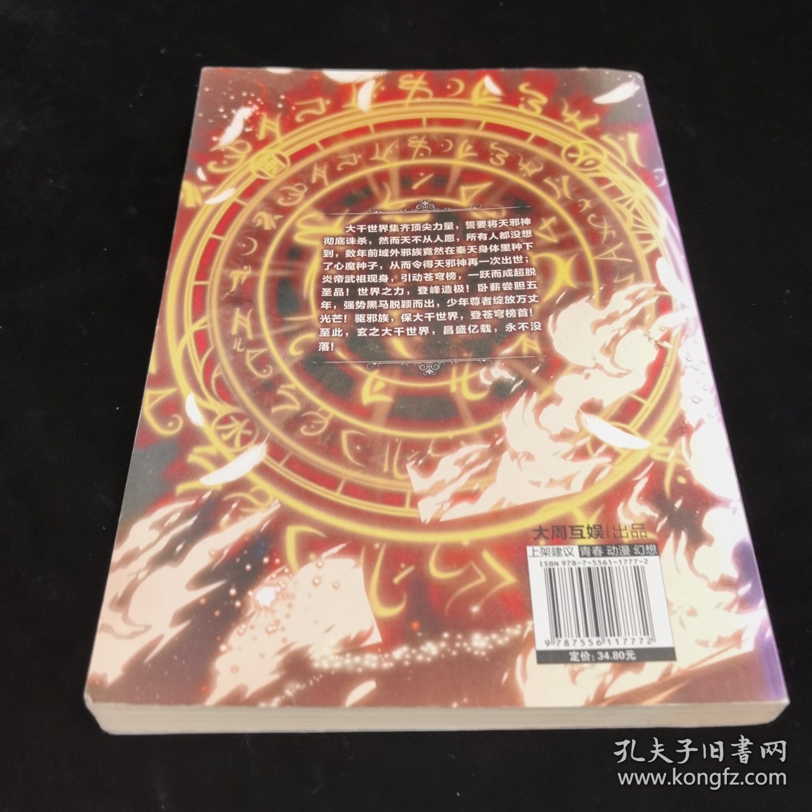 斗破苍穹之大主宰25