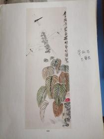 名家画玉簪花2页，合售（朱焕祯，齐白石）