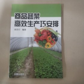 商品蔬菜高效生产巧安排