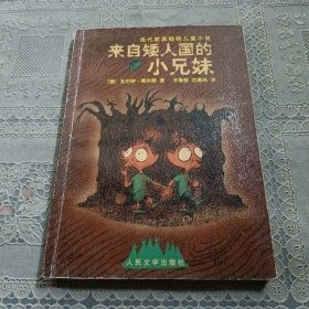 来自矮人国的小兄妹：当代欧美畅销儿童小说