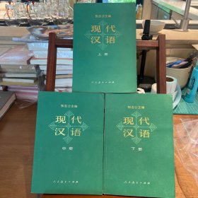 现代汉语 （上中下册）